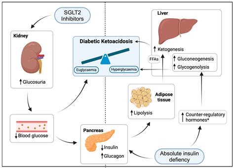 Metabolites Free Full Text Balancing Risks And Benefits Sodium