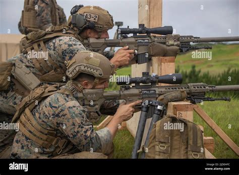 U S Marines With Iii Marine Expeditionary Force Engage Targets With M110 Semi Automatic Sniper