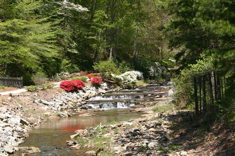 Toccoa Creek Toccoa Creek Just Below The Falls On The Camp Flickr