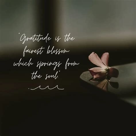 Thankful Quotes Life Inspiration