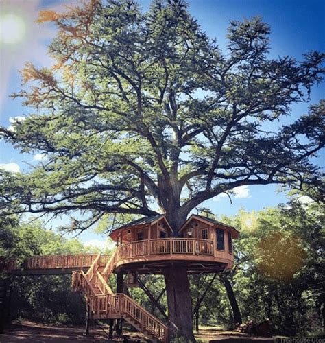 15 Amazing TreeHouse Hotels And Lodges For A Terrific Eco Friendly Stay