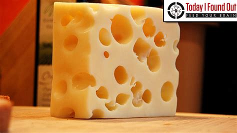 Why Does Swiss Cheese Have Holes? - YouTube