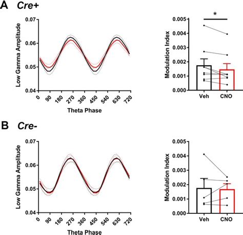 Figures and data in CA2 neuronal activity controls hippocampal low ... 