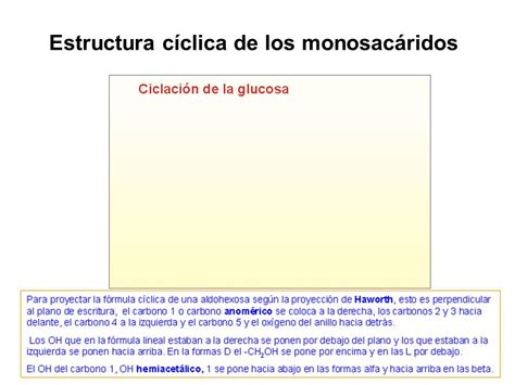 Unidad Iv Qu Mica De Carbohidratos Ppt Descargar