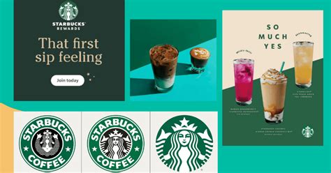 Case Study Rebrand Successful Rebranding Malu Design Branding Agency