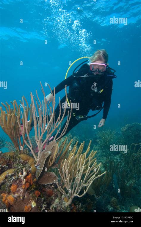 Diving Coral Reefs Florida Keys Hi Res Stock Photography And Images Alamy