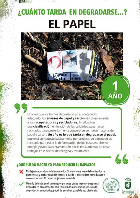 Tiempo de degradación del papel Cuánto tarda en descomponerse eco360