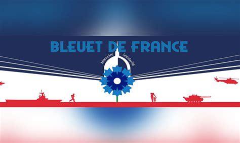 L Uvre Nationale Du Bleuet De France Lance Un Appel Aux Dons Ville