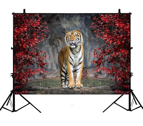 PHFZK 7x5ft Landscape Nature Scenery Backdrops, Animal Tiger ...