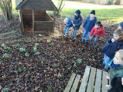 3ème mat la nature se réveille École Saint Joseph à Roclenge Blog