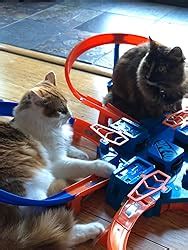 Amazon Hot Wheels Toy Car Track Set Corkscrew Crash With Scale Car Crash Zones