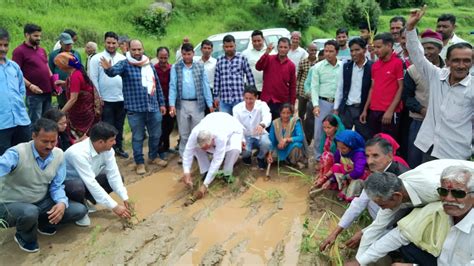 पूर्व विस अध्यक्ष ने सड़क के डामरीकरण नहीं होने के विरोध में सड़क में की धान की रोपाई Prnews7