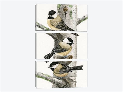 Chickadees In Birch Tree Canvas Print By Tracy Lizotte Icanvas