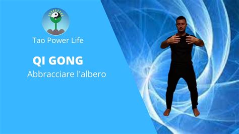 Qi Gong Abbracciare L Albero Youtube