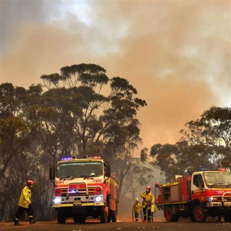 Ola de calor en Australia récord de temperaturas extremas Filo News