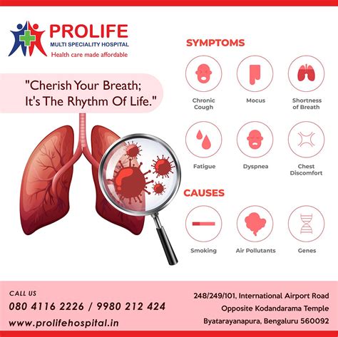 Understanding Lung Infections Symptoms Causes Treatment And Care At Prolife Hospital