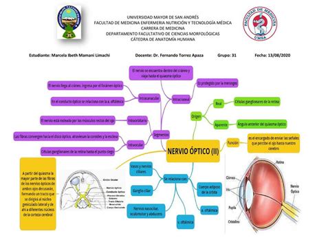 Nervio Ptico Par Craneal Ii Marcela Ibeth Udocz