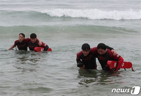 해운대해수욕장서 인명구조 훈련 네이트 뉴스