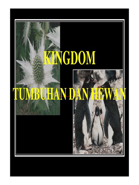 Keanekaragaman - Tumbuhan Hewan | PDF | Anatomy | Zoology