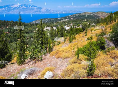 Summer Landscape With Cypress Trees Zakynthos Greek Island In The