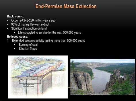 PPT - End Permian Extinction PowerPoint Presentation, free download ...