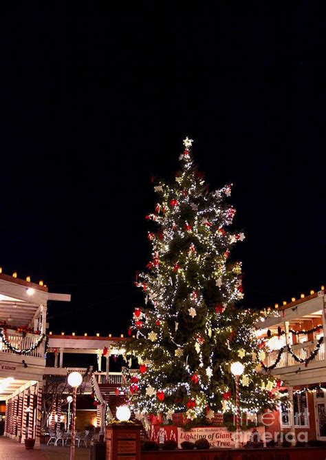 The Old Town Albuquerque Christmas Tree, New Mexico