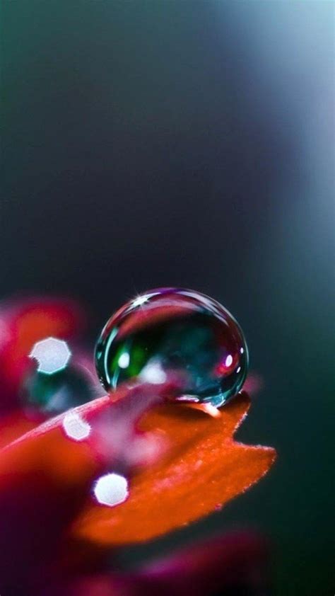 Water Droplets Wallpapers - Wallpaper Cave