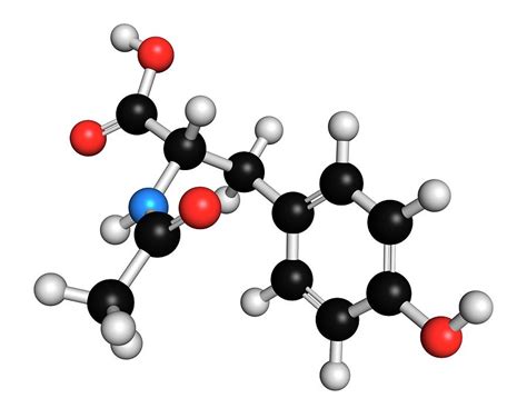 N Acetyl Tyrosine Molecule Photograph By Molekuul Fine Art America