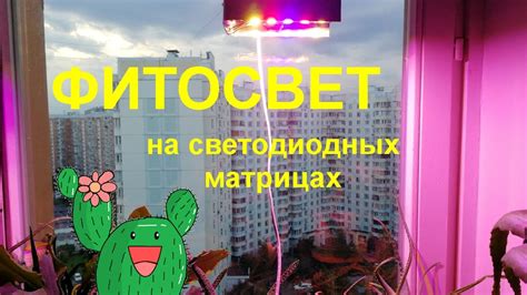 Фитосвет для растений своими руками. Подключение матриц без драйвера ...