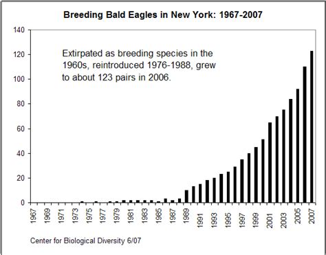Eagle Gallery: bald eagle population
