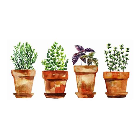 Roommates Watercolor Potted Herbs Wall Decals Watercolor Herbs