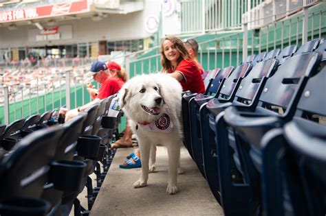 Nationals Park | Events DC