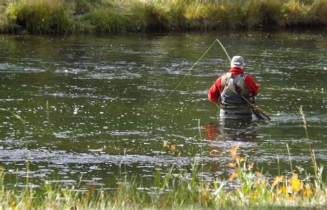 Yellowstone National Park: Fishing Season Info 2018 | GearJunkie