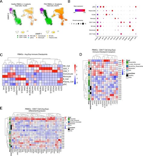 Single Cell Rna Sequencing Of Pda Pbmcs Reveals Heterogeneous Cellular Download Scientific