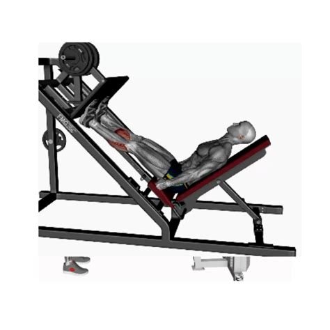 Calf Raise On A Leg Press Machine Instructions Bp Training And Coaching