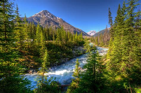 Fondos de Pantalla Parque Canadá Ríos Montañas Bosques Vermilion