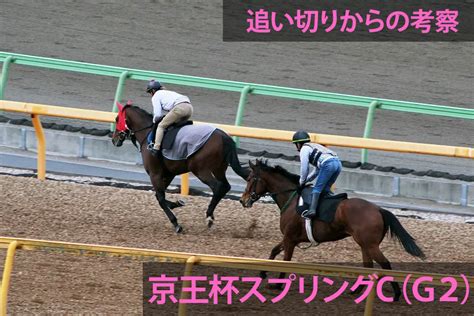 京王杯スプリングcの追い切りからの予想・考察 サニーの馬券に直結する話とくダネkeiba