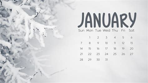 January 2024 Calendar Background - Pat Layney