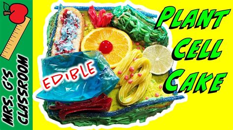 Edible Plant Cell Model