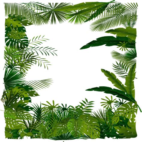 Jungle Frame Png Clip Art Library Images