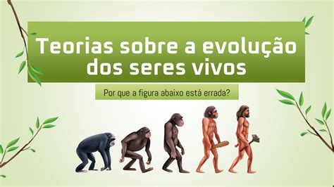 SOLUTION Teorias sobre a evolução dos seres vivos Studypool