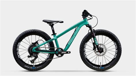guide    kids mountain bikes rascal rides