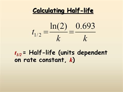 Half Life Calculations Worksheets