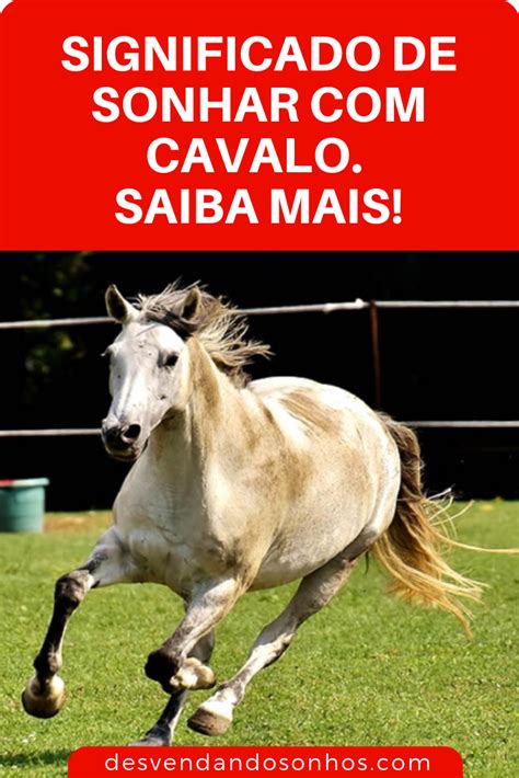 Significado de Sonhar Cavalo Mensagens e Previsões Cavalo