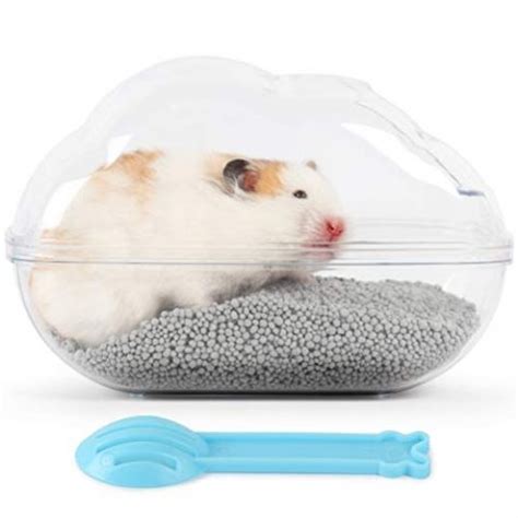 What is a Hamster Sand Bath? - Vet Explains Pets