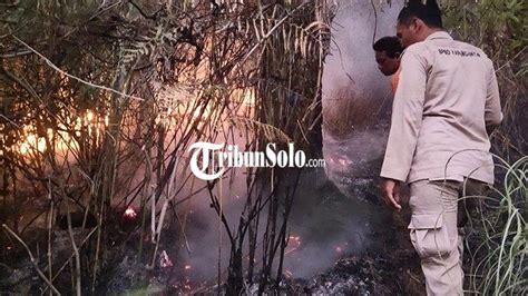 Kebakaran Hutan Gunung Lawu Sudah Padam Api Berkobar 12 Jam Lebih