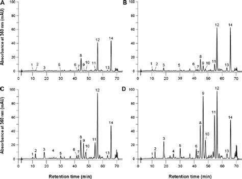 Typical Hplc Pda Chromatograms Of Aqueous 80 Methanol Extracts Of