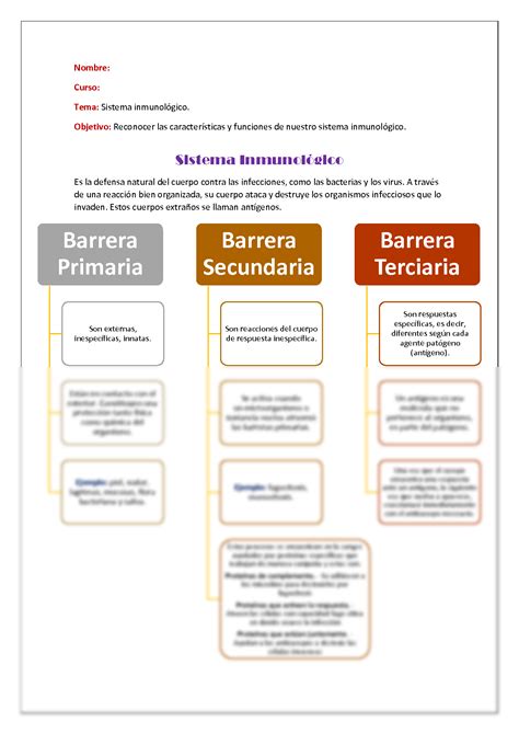 Mapa Del Sistema Inmunologico