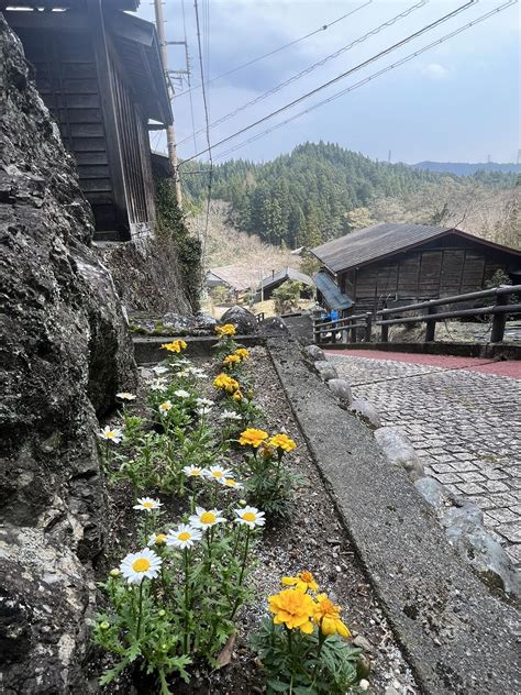 秋葉山 すっかり春🌸 イナマさんの秋葉山の活動データ Yamap ヤマップ