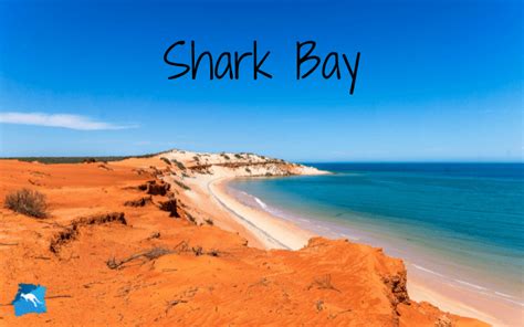 Shark Bay Qué Ver Y Hacer En Este Increíble Patrimonio De La Humanidad